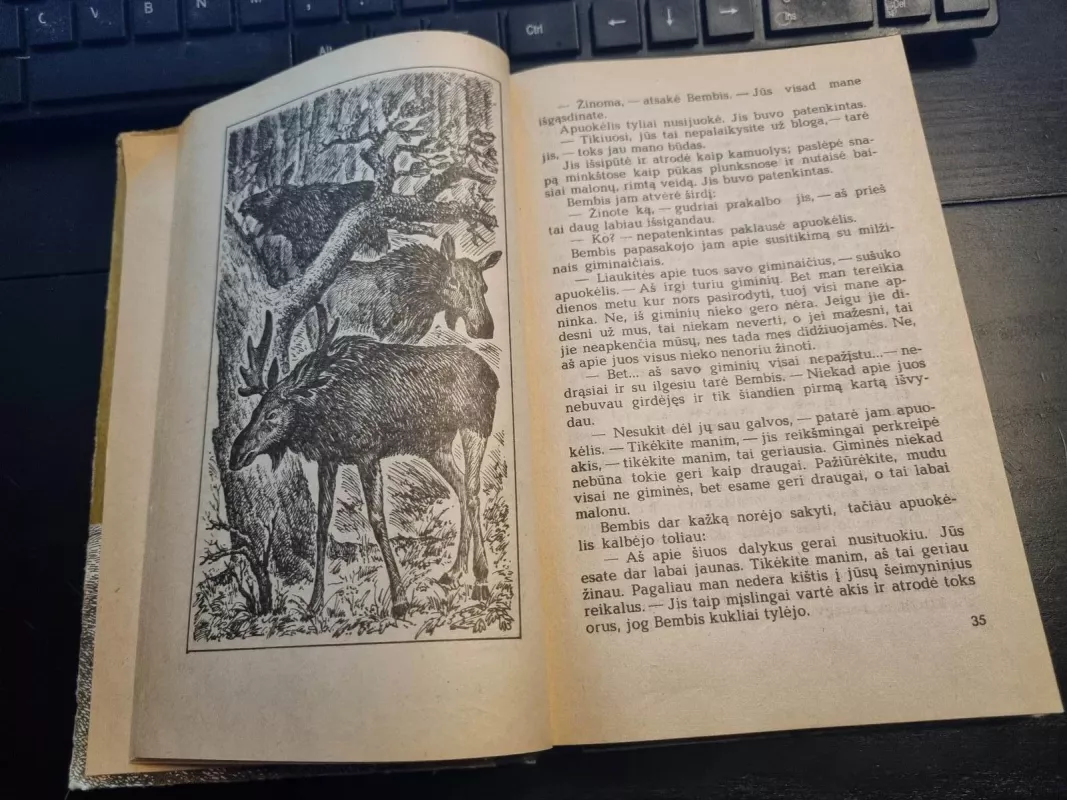 Bembis. Bembio vaikai - Feliksas Zaltenas, knyga 4