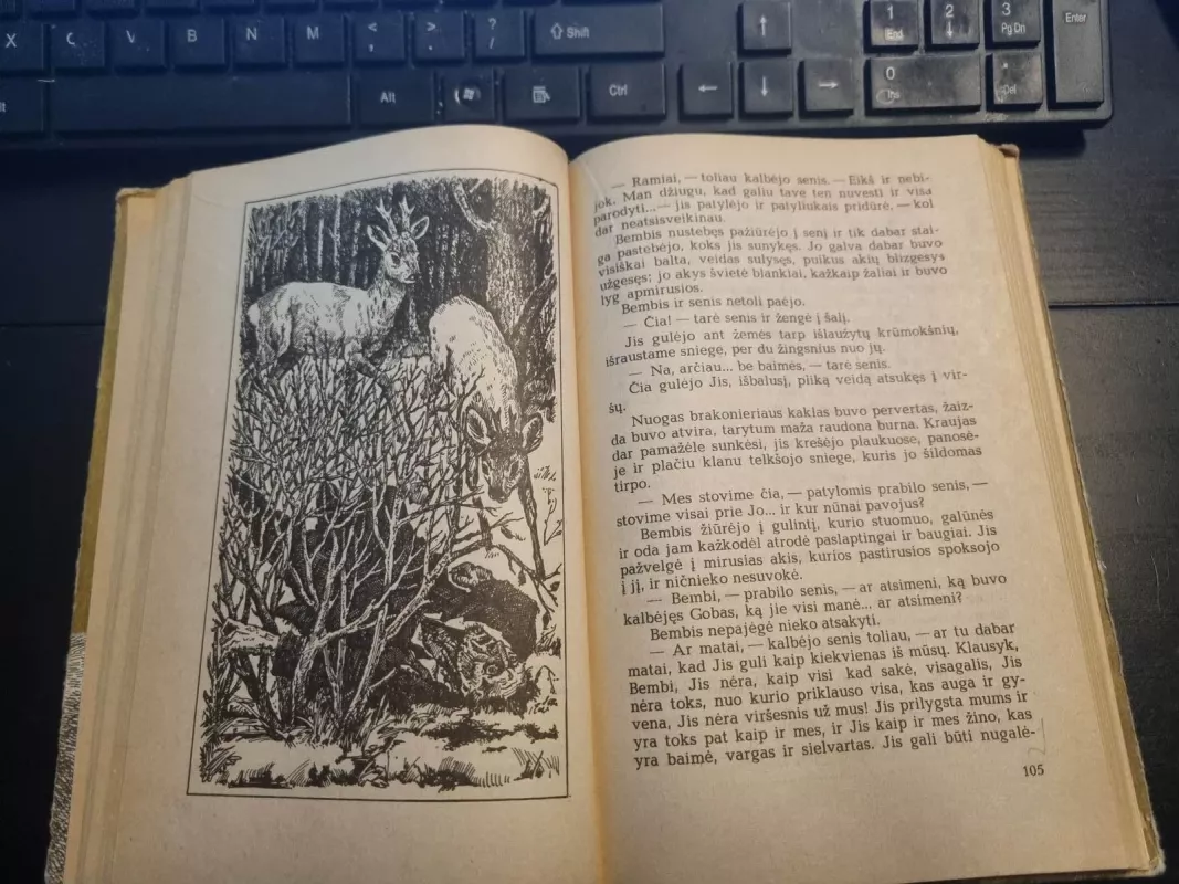 Bembis. Bembio vaikai - Feliksas Zaltenas, knyga 3