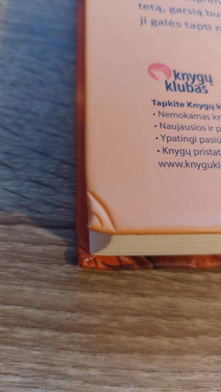 DRAKONO RAITELĖ. VĖJŲ ŽEMĖJE I - Licia Troisi, knyga 4