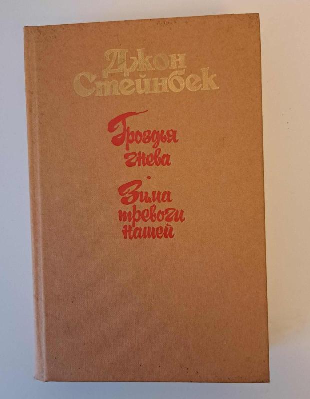 Гроздья гнева. Зима тревоги нашей - Джон Стейнбек, knyga 2