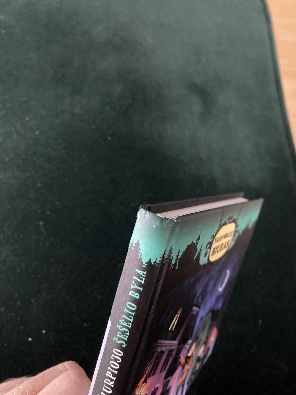 Šiurpiojo šešėlio byla - Ohlsson Kristina, knyga 3