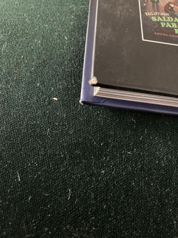 Šiurpiojo šešėlio byla - Ohlsson Kristina, knyga 2