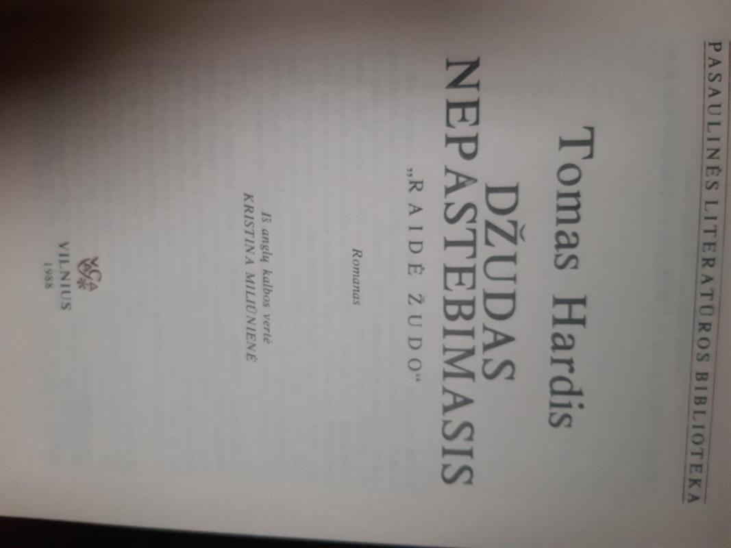 Džudas nepastebimasis - Tomas Hardis, knyga 3