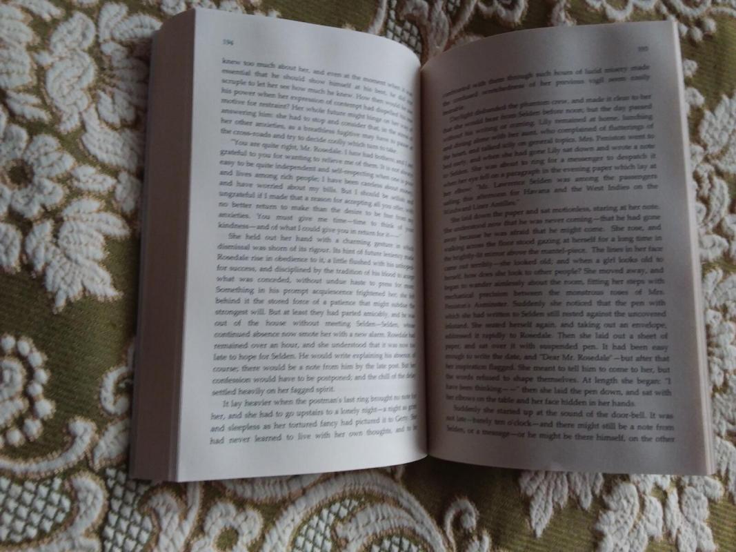 The House of Mirth - Edith Wharton, knyga 3