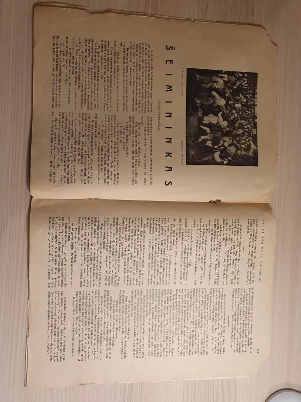 Naujoji Romuva, 1940 m Nr.12-13 - Autorių Kolektyvas, knyga 5