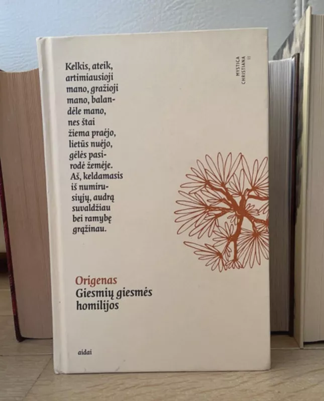 Origenas, Giesmių giesmės homilijos - Autorių Kolektyvas, knyga