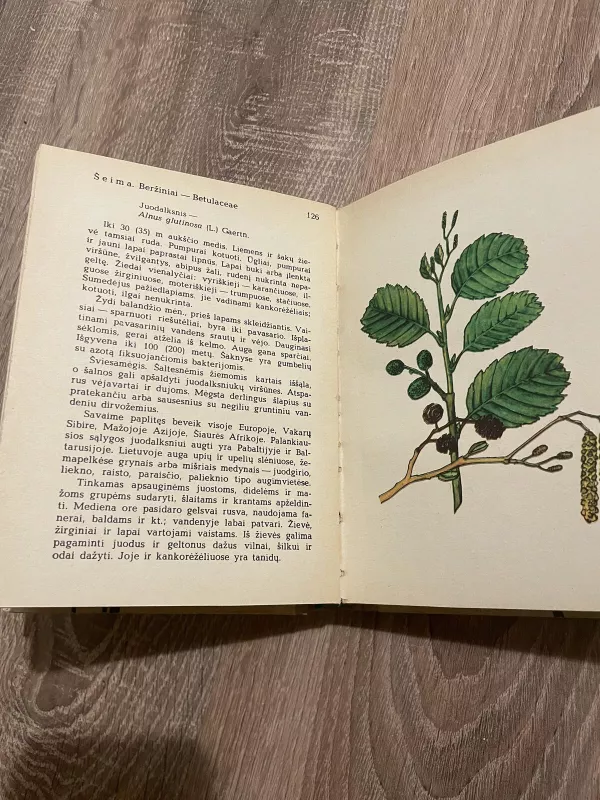 Lietuvos miškų augalai - Stasys Karazija, knyga 4