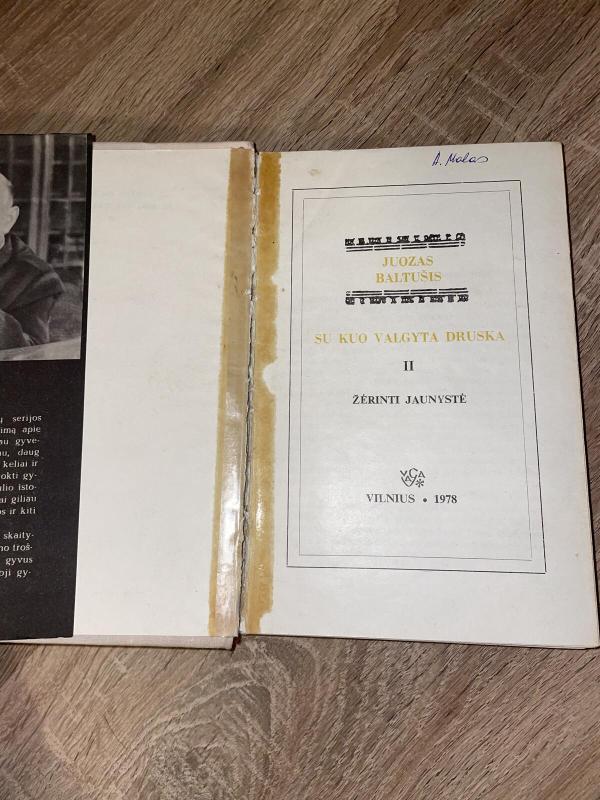 Su kuo valgyta druska. 2 dalis. Žėrinti jaunystė - Juozas Baltušis, knyga 2