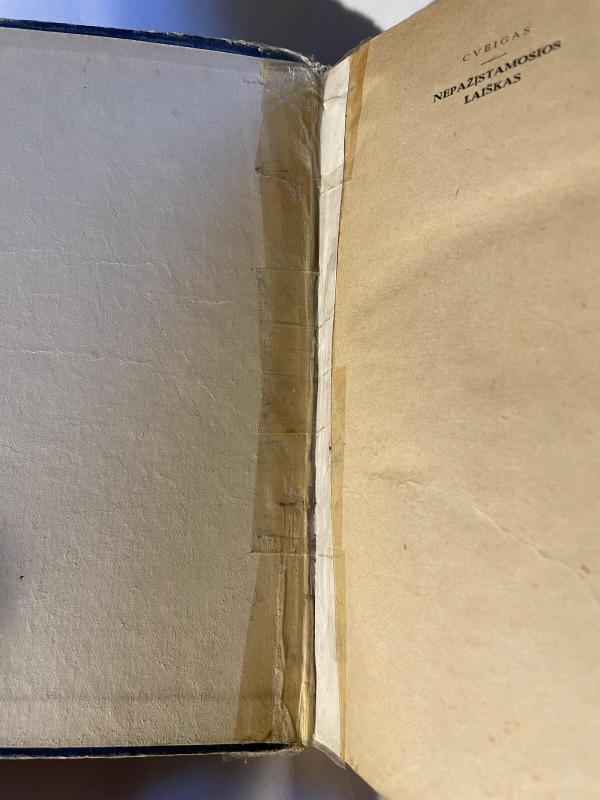 Nepažįstamosios laiškas - Stefan Zweig, knyga 4