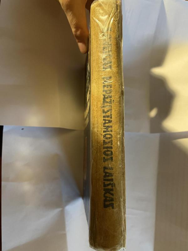 Nepažįstamosios laiškas - Stefan Zweig, knyga 2