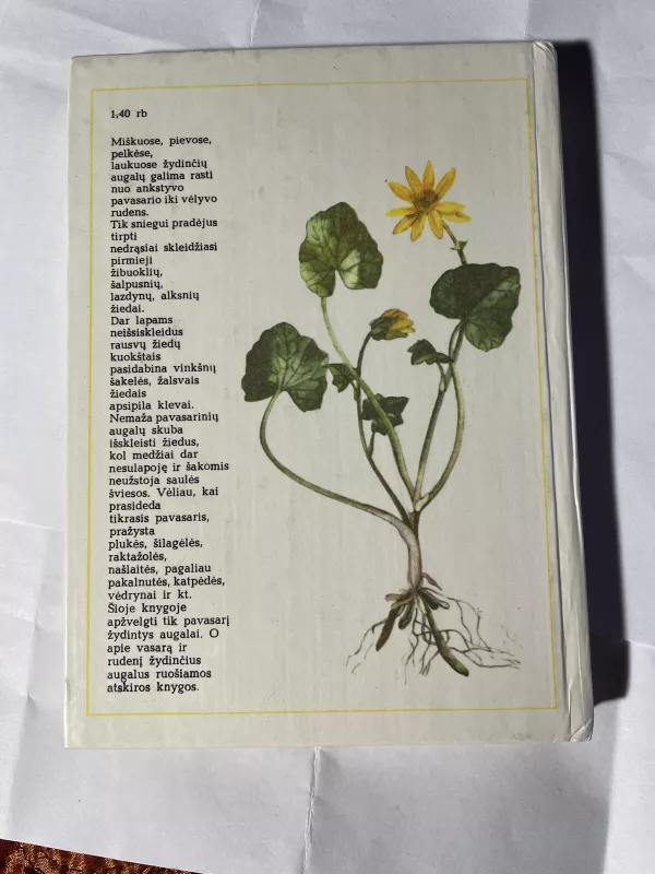 Pavasarį žydintys augalai - Živilė Lazdauskaitė, knyga 2