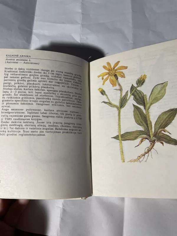 Vasarą žydintys augalai - R. Jankevičienė, knyga 3