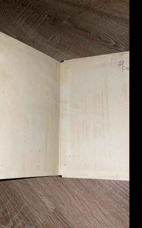 Geltonas šuo - Žoržas Simenonas, knyga 5