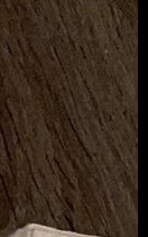 Ite, missa est - Jonas Ragauskas, knyga 2