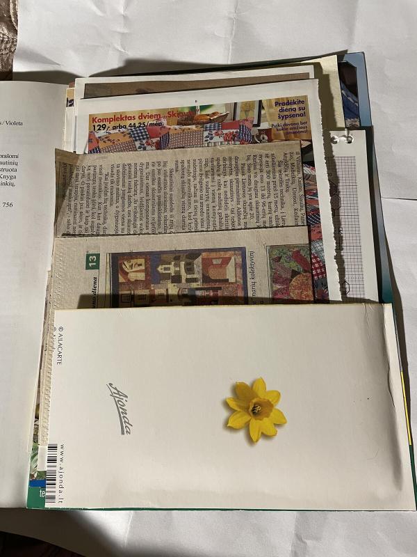 Skiautinių ornamentai - Violeta Abromavičienė, knyga 2