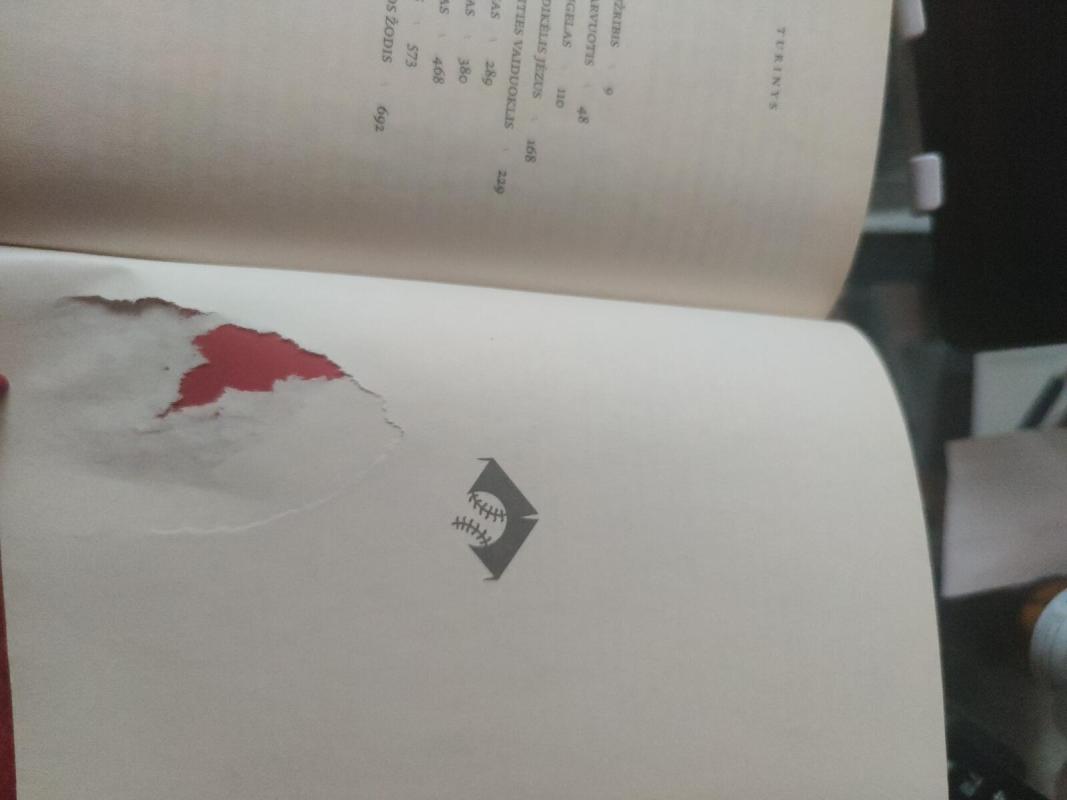 Malda už Oveną Minį - John Irving, knyga 3