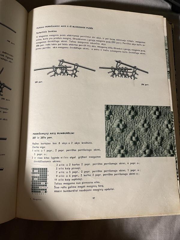 Mezgimas - K. Žirgulienė, knyga 2