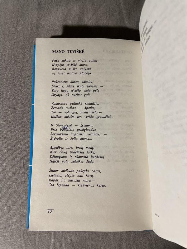 Vakarės skliaute - Juozas Ardzijauskas, knyga 2