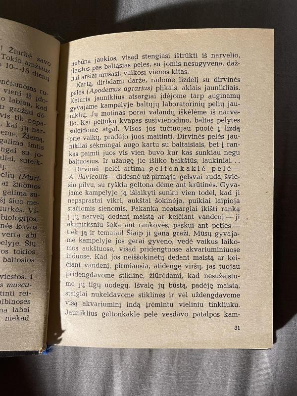 Gyvasis kampelis - Antanas Slučka, knyga 4