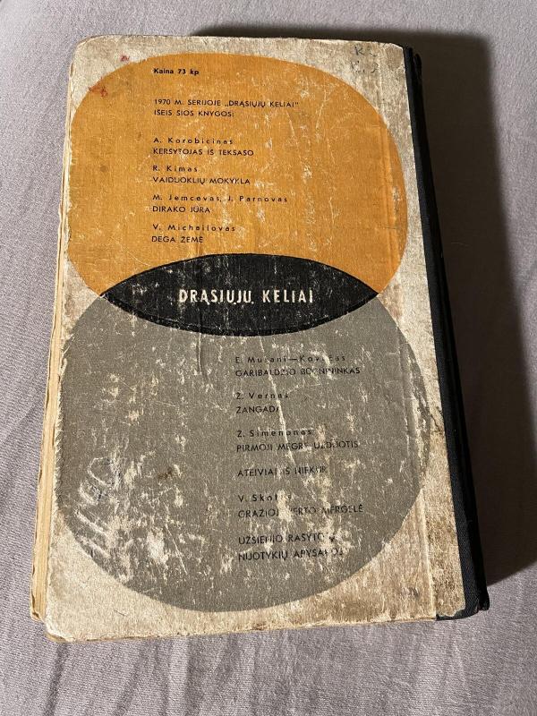 Vaiduoklių mokykla - Romanas Kimas, knyga 3