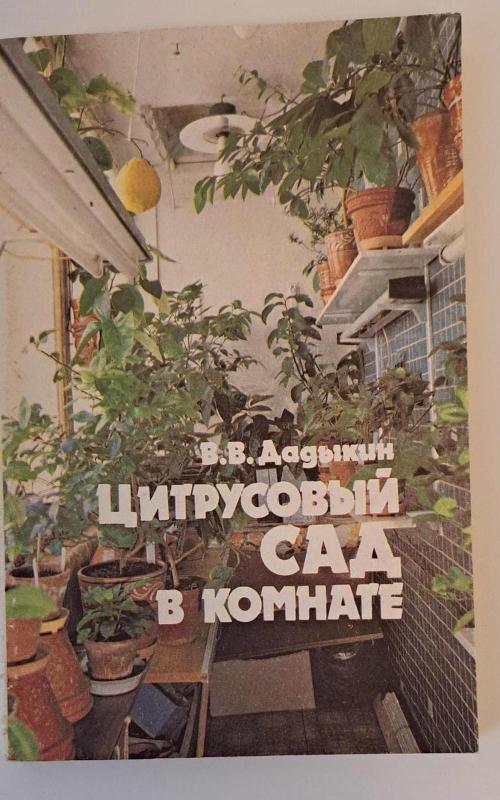 Цитрусовый сад в комнате - Венедикт Владимирович Дадыкин, knyga 2