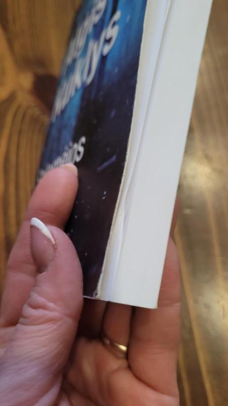 Salomėjos istorija - Algis Kuklys, knyga 4