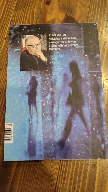 Salomėjos istorija - Algis Kuklys, knyga 3