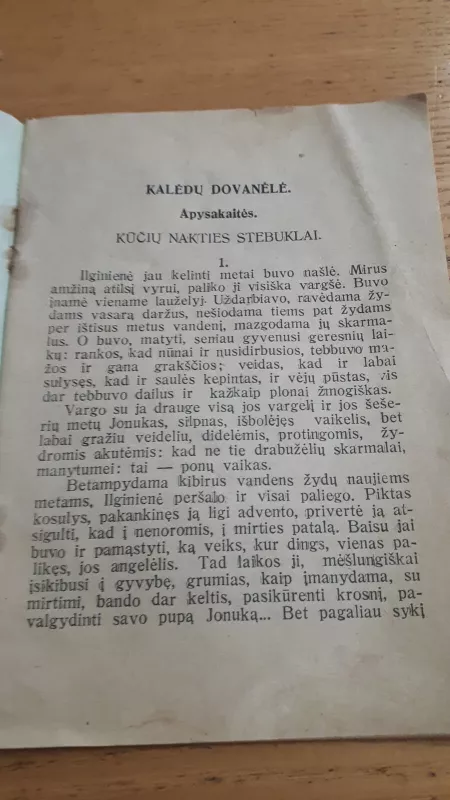 Kalėdų dovanėlė - Autorių Kolektyvas, knyga 2