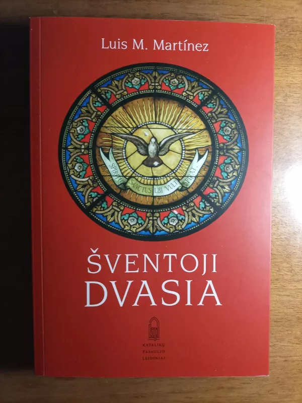 Šventoji dvasia - Luis M.Martinez, knyga