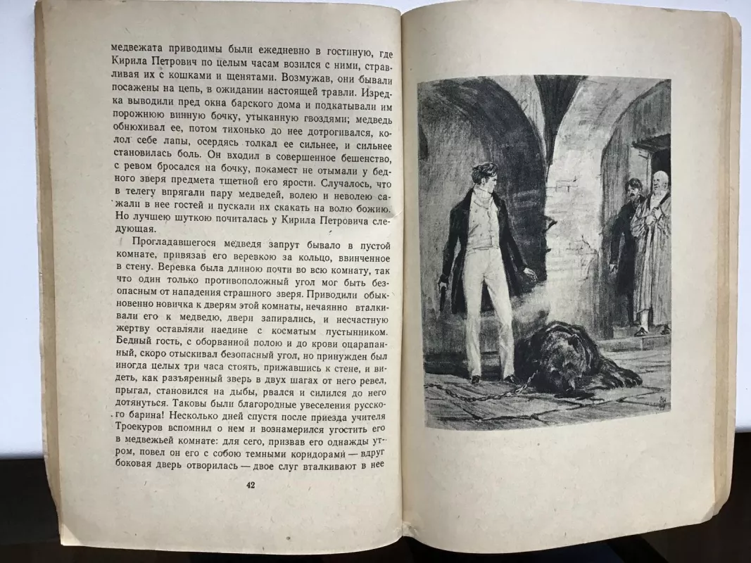 Дубровский - A. C. Пушкин, knyga