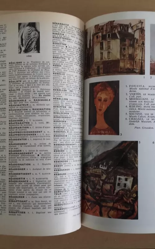 Dictionnaire encyclopédique pour tous. Nouveau petit Larousse - Autorių Kolektyvas, knyga 2