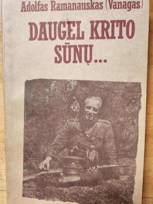 Daugel krito sūnų... - Adolfas Ramanauskas-Vanagas, knyga 2