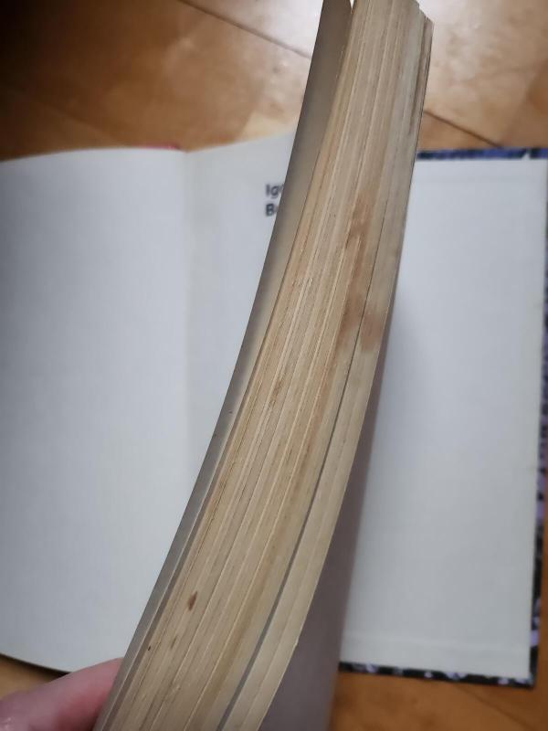 Partijos auksas - Igoris Buničius, knyga 3