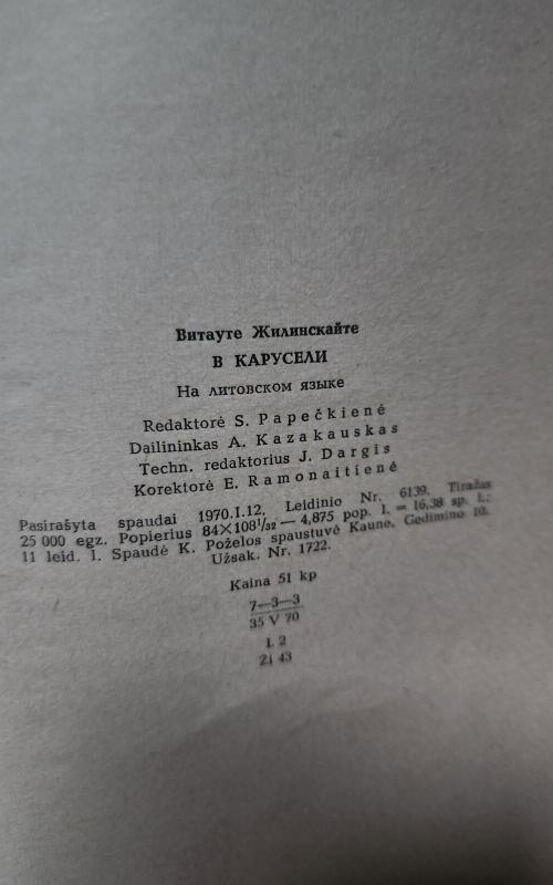 Karuselėje - Vytautė Žilinskaitė, knyga 4