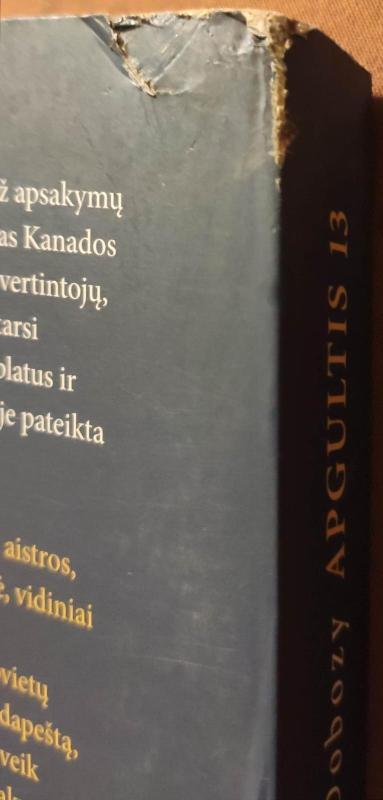 Apgultis 13 - Tamas Dobozy, knyga 3