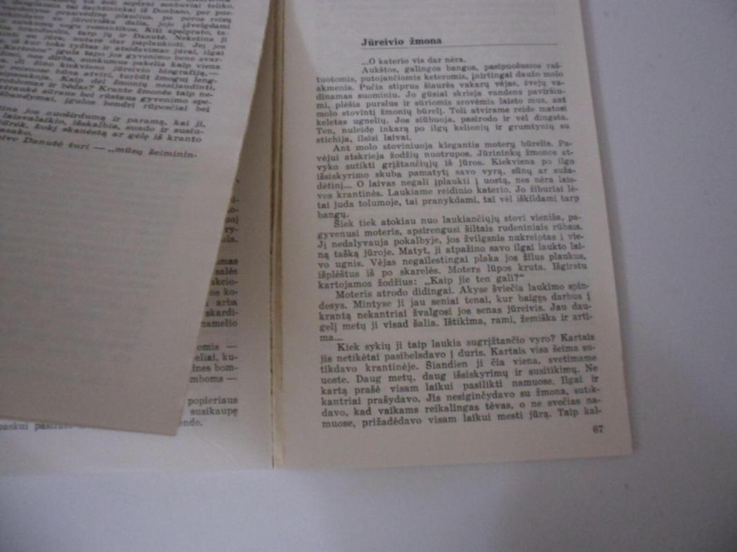 Laivai stabdžių neturi (Jūrininko pasakojimai) - Romualdas Zbormirskas, knyga 4