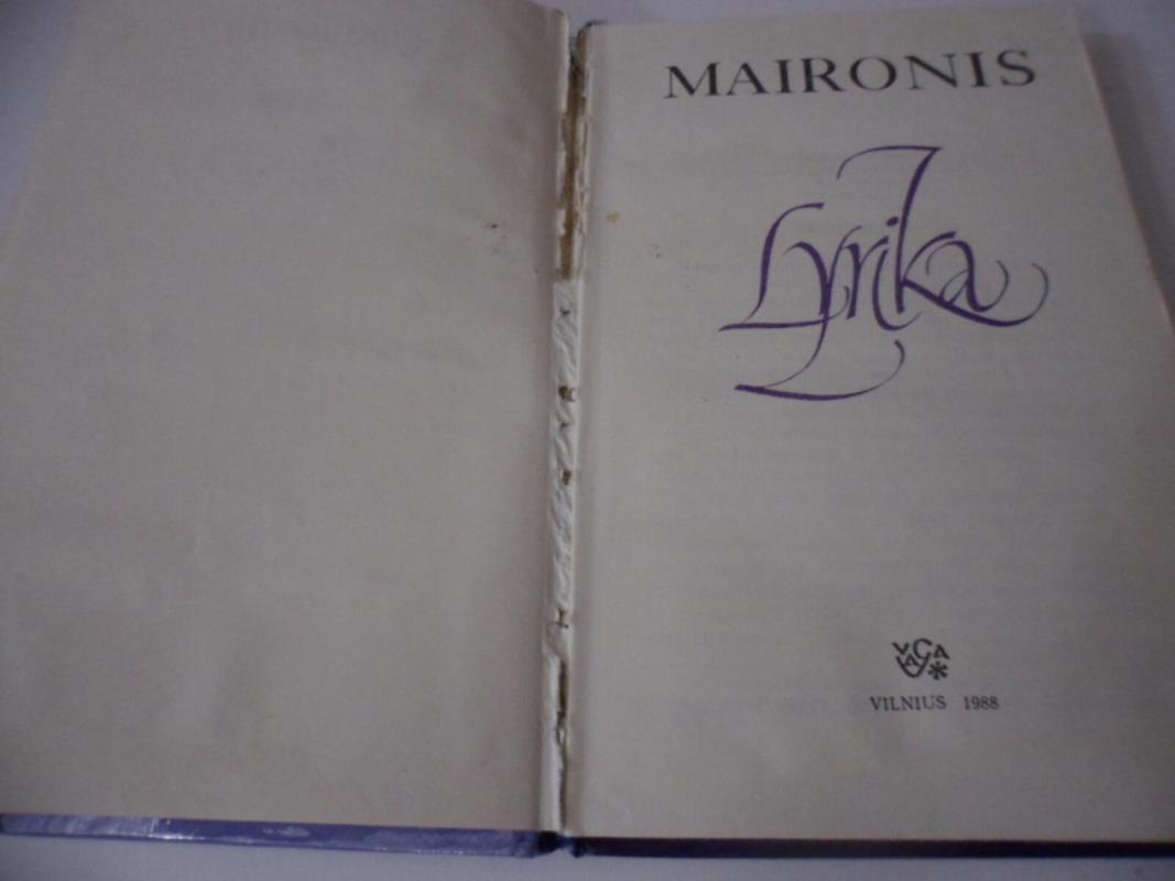 Maironis. Lyrika - Irena Slavinskaitė, knyga 4
