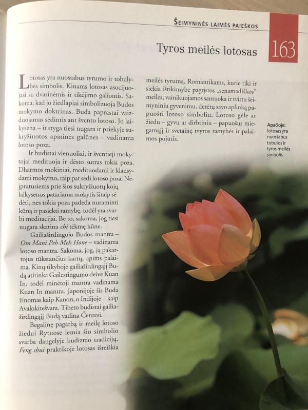 Feng Shui, Meilė pagal kinų išmintį, 168 keliai į sėkmę - Lillian Too, knyga 4