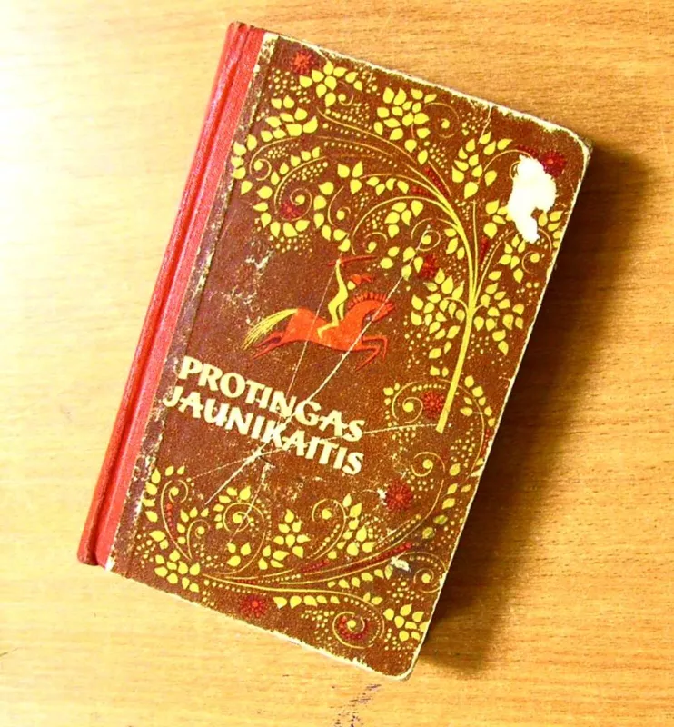 Protingas jaunikaitis - Autorių Kolektyvas, knyga