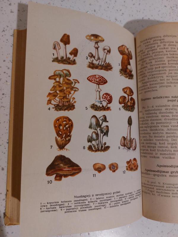 Vaikų darželis - Autorių Kolektyvas, knyga 4