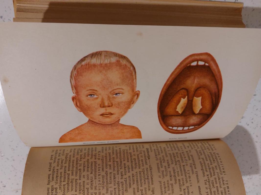 Vaikų darželis - Autorių Kolektyvas, knyga 5