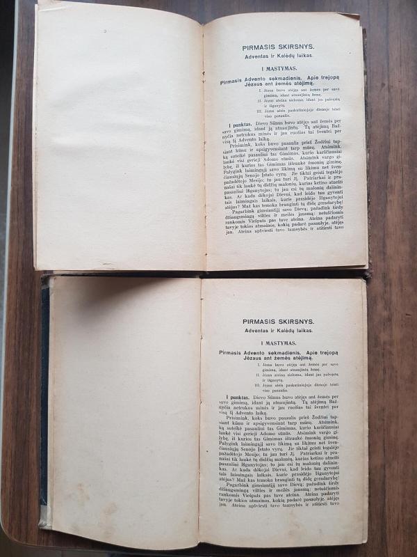 Šventėse su šventaisiais: dvasiški mąstymai visoms metų šventėms - M. Vaitkus, knyga 2