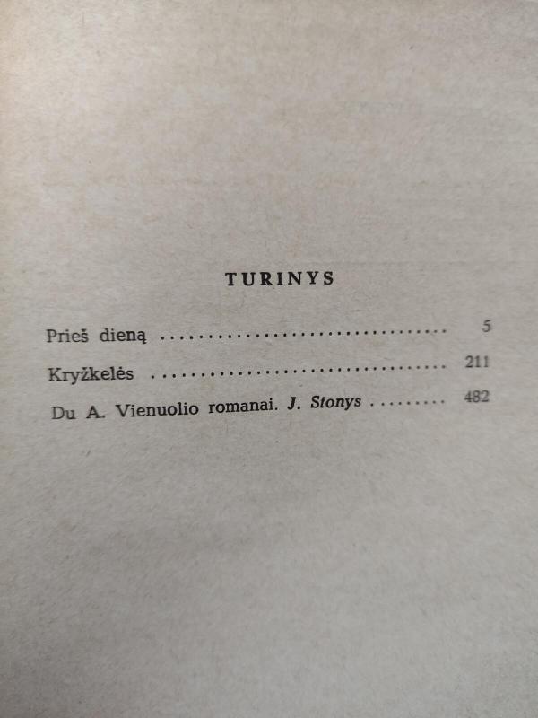 Prieš dieną. Kryžkelės - Antanas Vienuolis, knyga 2