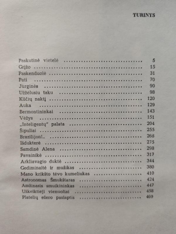 Amžinasis smuikininkas - Antanas Vienuolis, knyga 2