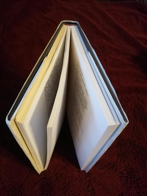 Faustas - Autorių Kolektyvas, knyga 4