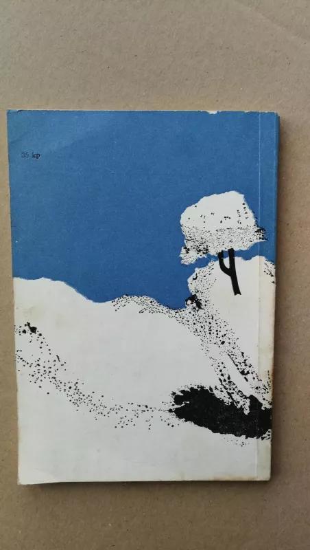 Sniegas - Valentinas Zaikauskas, knyga 2
