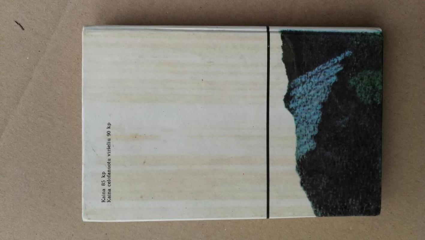 Vėtrungė šeimos šventei - Vytautas Martinkus, knyga 5