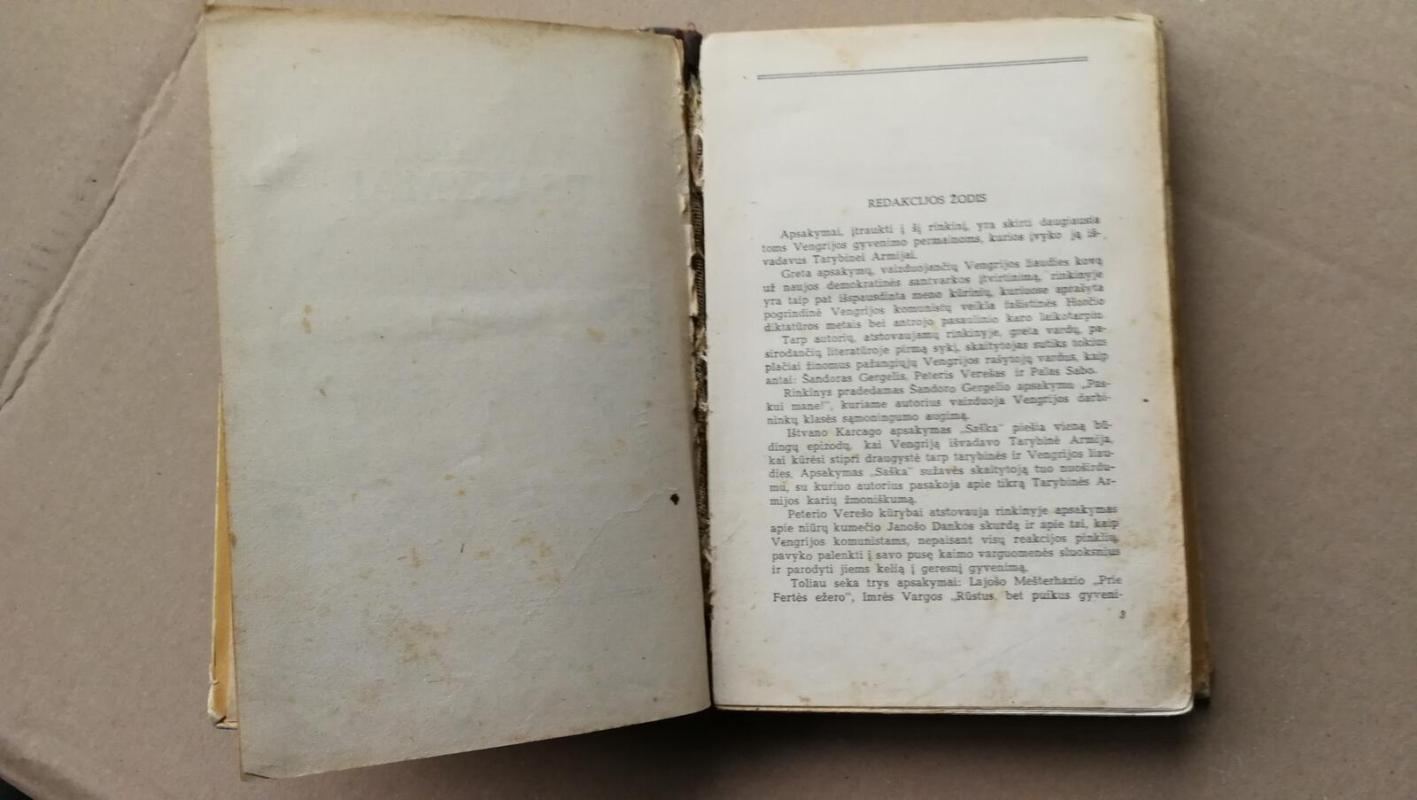 Vengrų apsakymai - Autorių Kolektyvas, knyga 4