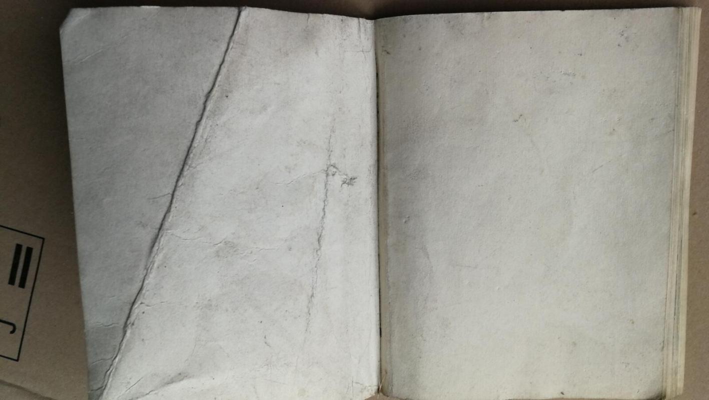 literatūros ir meno metraštis (17 dalis) - A. Paraščiakas, knyga 5