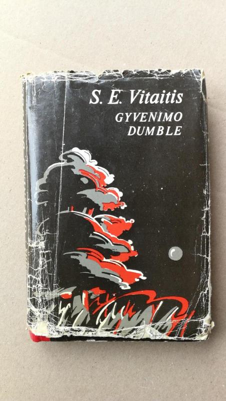 Gyvenimo dumble - S.E. Vitaitis, knyga 5